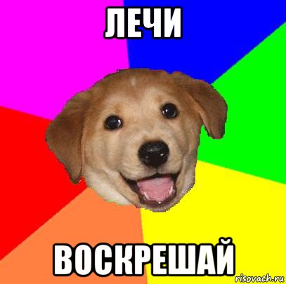 лечи воскрешай, Мем Advice Dog