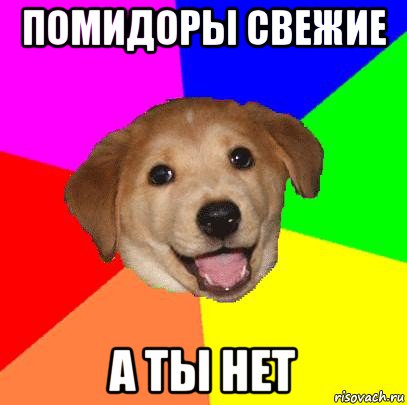 помидоры свежие а ты нет, Мем Advice Dog