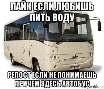 Картинка автобуса мем