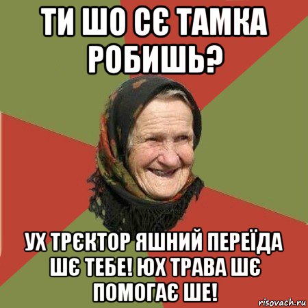 ти шо сє тамка робишь? ух трєктор яшний переїда шє тебе! юх трава шє помогає ше!, Мем  Бабушка