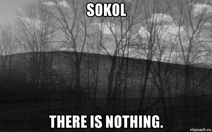 sokol there is nothing., Мем безысходность тлен боль