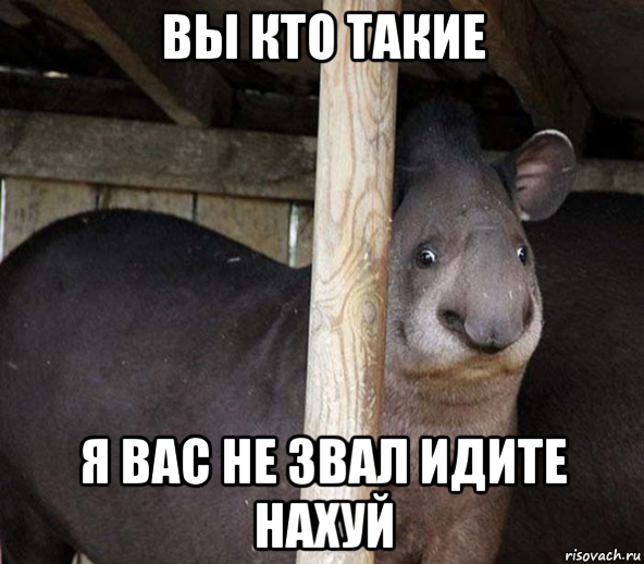 Вы кто такие. Вы кто такие я вас. Вы кто такие я вас не. Мем вы кто такие я.