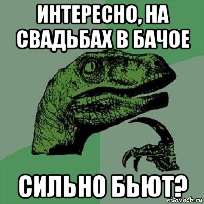 интересно, на свадьбах в бачое сильно бьют?, Мем Филосораптор