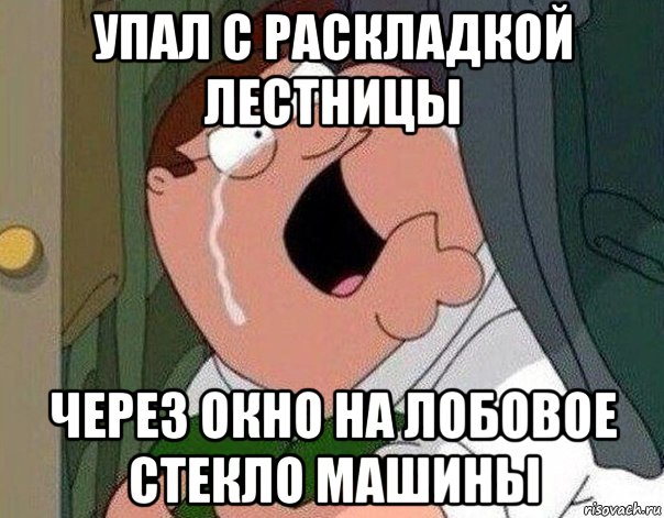 упал с раскладкой лестницы через окно на лобовое стекло машины, Мем Гриффин плачет