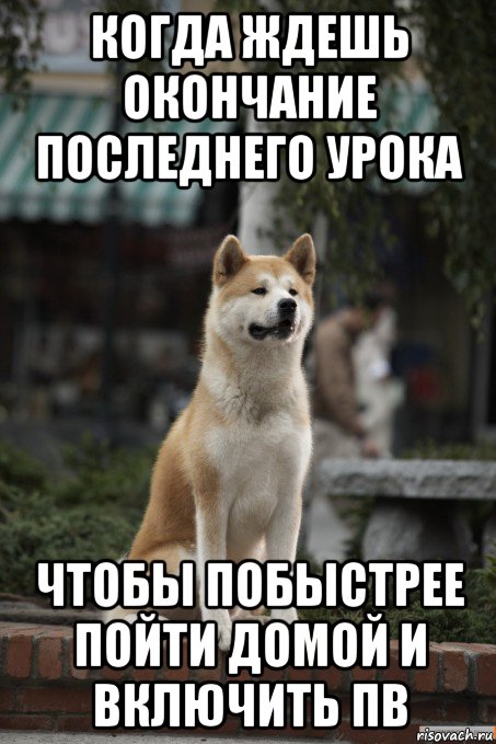 когда ждешь окончание последнего урока чтобы побыстрее пойти домой и включить пв, Мем Хатико