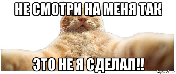 не смотри на меня так это не я сделал!!, Мем   Кэтсвилл