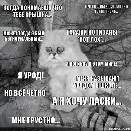 Когда понимаешь что тебе крышка... Меня называют уродом в школе... Гаражи исписаны *Кот лох*... Мне грустно... Я урод! В меня швыряют тапки и гонят прочь... А я хочу ласки... Может тогда я был бы нормальный... Но всё четно Я погибну в этом мире!, Комикс  кот безысходность