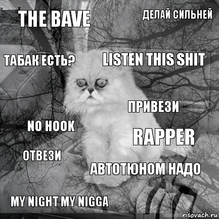 The bave Rapper Listen this shit My night my nigga No hook Делай сильней Автотюном надо Табак есть? Отвези Привези, Комикс  кот безысходность