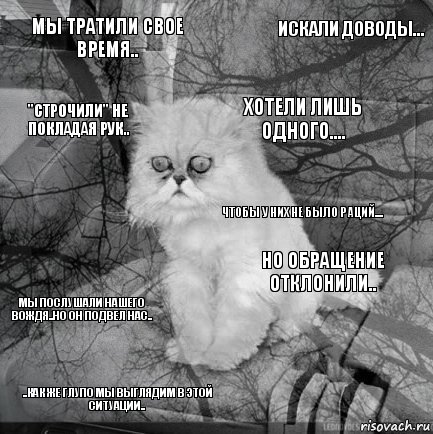 мы тратили свое время.. но обращение отклонили.. хотели лишь одного.... ..как же глупо мы выглядим в этой ситуации..  искали доводы...  "строчили" не покладая рук.. мы послушали нашего вождя..но он подвел нас.. чтобы у них не было раций...., Комикс  кот безысходность