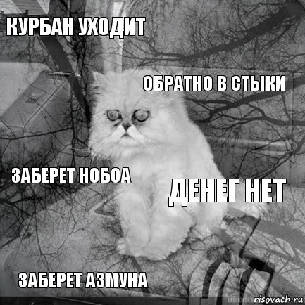 КУРБАН УХОДИТ ДЕНЕГ НЕТ ОБРАТНО В СТЫКИ ЗАБЕРЕТ АЗМУНА ЗАБЕРЕТ НОБОА     , Комикс  кот безысходность