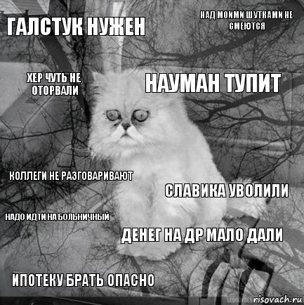 галстук нужен славика уволили науман тупит ипотеку брать опасно коллеги не разговаривают над моими шутками не смеются денег на ДР мало дали хер чуть не оторвали надо идти на больничный , Комикс  кот безысходность