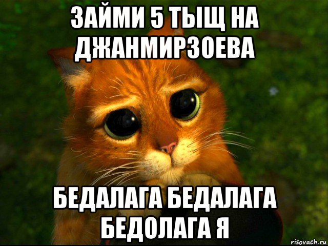 1000 пожалуйста. Бедолага. Бедолага картинки. Бедолага Мем. Бедолага надпись.