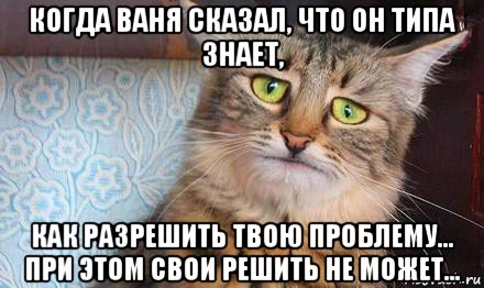 когда ваня сказал, что он типа знает, как разрешить твою проблему... при этом свои решить не может..., Мем  кот печаль