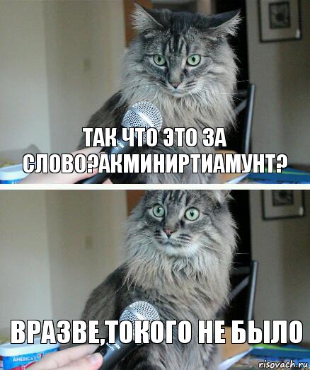 Так что это за слово?Акминиртиамунт? Вразве,токого не было, Комикс  кот с микрофоном