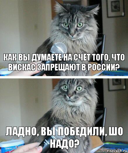 Как Вы думаете на счёт того, Что вискас запрещают в России? Ладно, Вы победили, Шо надо?, Комикс  кот с микрофоном