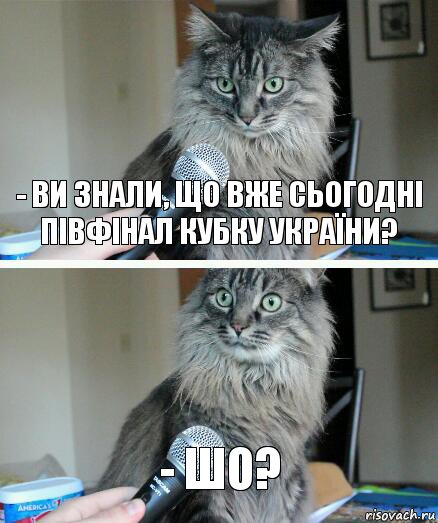 - Ви знали, що вже сьогодні півфінал Кубку України? - Шо?, Комикс  кот с микрофоном