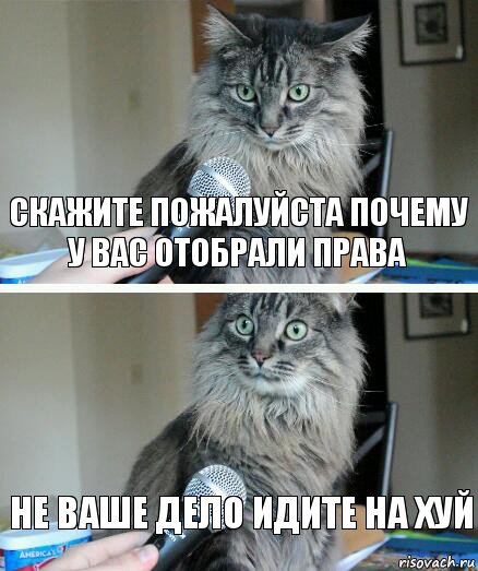 скажите пожалуйста почему у вас отобрали права не ваше дело идите на хуй, Комикс  кот с микрофоном