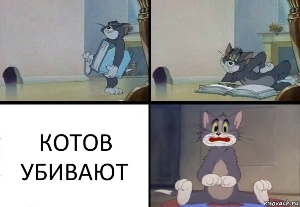 КОТОВ УБИВАЮТ, Комикс  Кот Том в шоке
