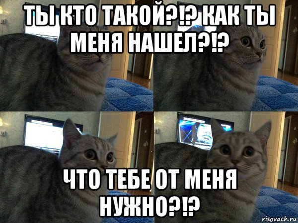 ты кто такой?!? как ты меня нашел?!? что тебе от меня нужно?!?, Мем  Кот в шоке