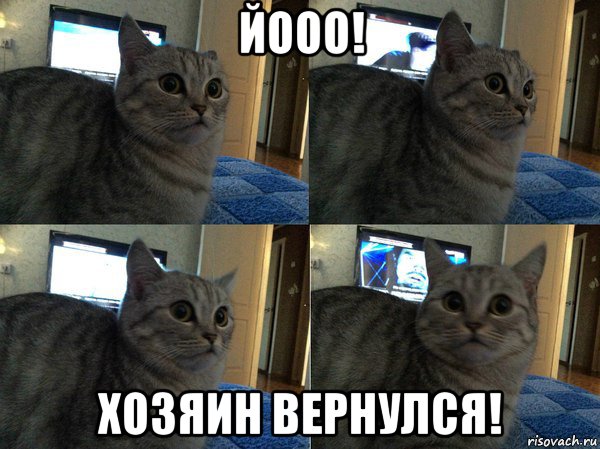 йооо! хозяин вернулся!, Мем  Кот в шоке