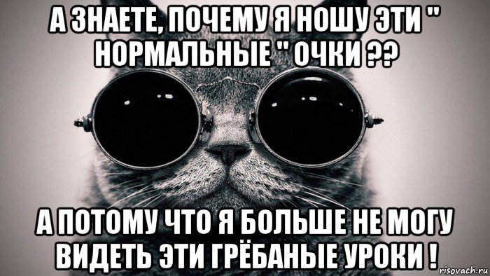 а знаете, почему я ношу эти " нормальные " очки ?? а потому что я больше не могу видеть эти грёбаные уроки !, Мем Котоматрица