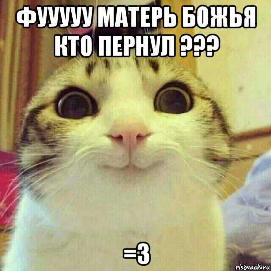 фууууу матерь божья кто пернул ??? =3, Мем       Котяка-улыбака