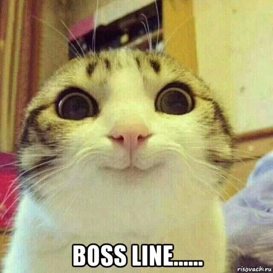  boss line......, Мем       Котяка-улыбака