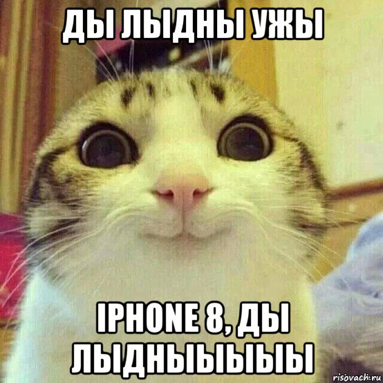 ды лыдны ужы iphone 8, ды лыдныыыыы, Мем       Котяка-улыбака