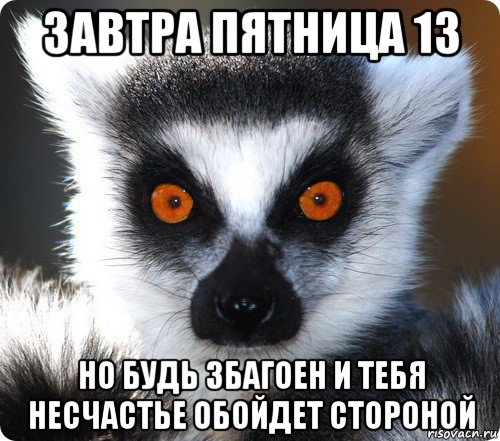 завтра пятница 13 но будь збагоен и тебя несчастье обойдет стороной, Мем лемур