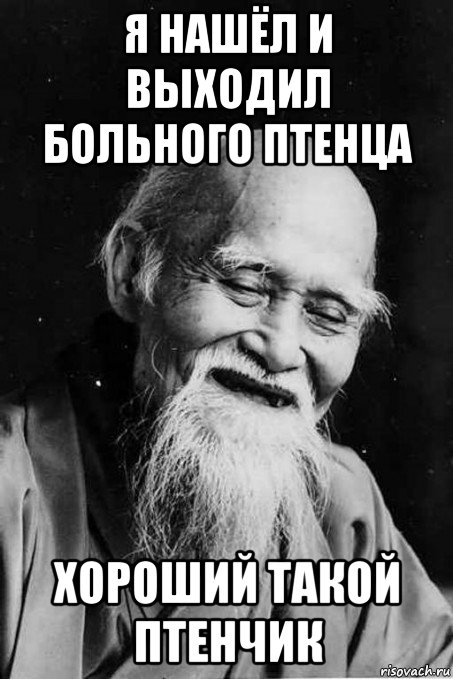 я нашёл и выходил больного птенца хороший такой птенчик, Мем мудрец улыбается