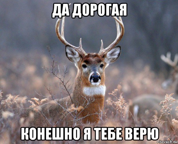 да дорогая конешно я тебе верю