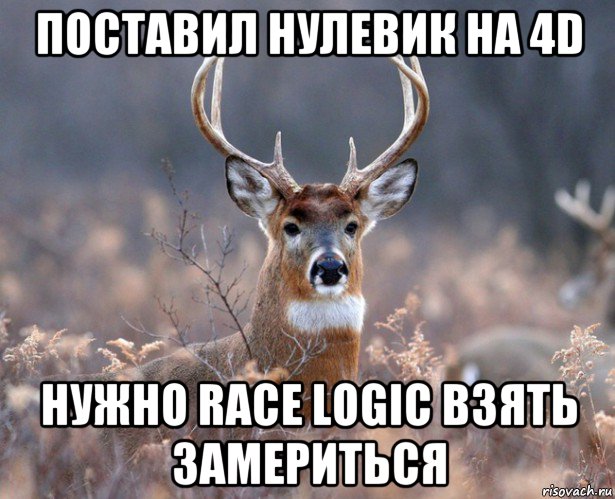 поставил нулевик на 4d нужно race logic взять замериться, Мем   Наивный олень