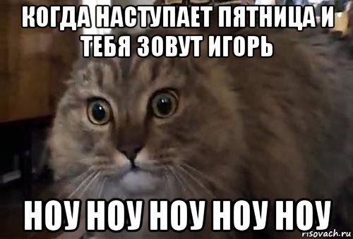 Как называется песня ноу ноу. Мем ноу ноу. Кот ноу ноу. Кот ноу ноу ноу Мем. Мем с котом о ноу.