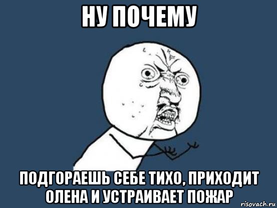 ну почему подгораешь себе тихо, приходит олена и устраивает пожар, Мем Ну почему