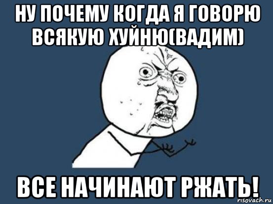 ну почему когда я говорю всякую хуйню(вадим) все начинают ржать!, Мем Ну почему