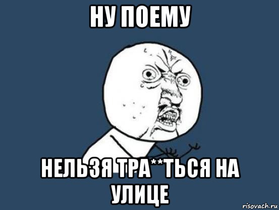 ну поему нельзя тра**ться на улице, Мем Ну почему