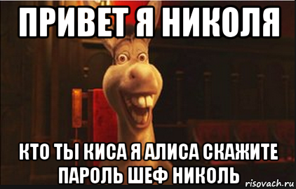 Скажи пароль. Привет я осел. Привет я Николя Мем. Скажите пароль. Мемы про Николь.