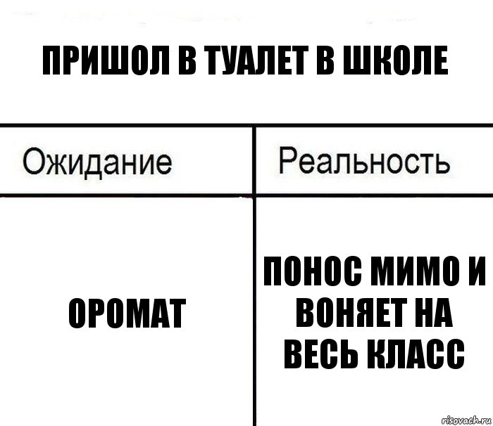 Понос анекдот. Школа ожидание реальность. Ожидание реальность туалет.