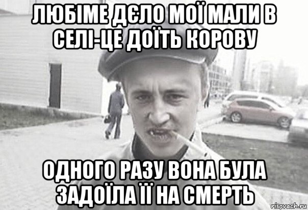 любіме дєло мої мали в селі-це доїть корову одного разу вона була задоїла її на смерть, Мем Пацанська философия