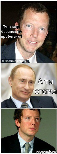 Тут стадо баранов не пробегало? А ты отстал, Комикс Путин и Ротшильд