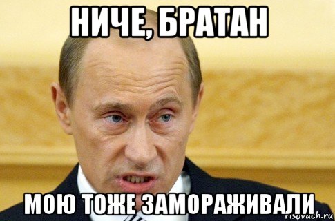 ниче, братан мою тоже замораживали, Мем путин