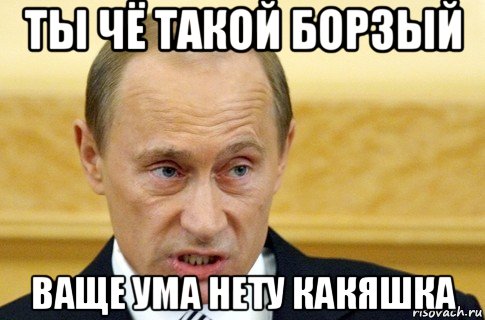 ты чё такой борзый ваще ума нету какяшка, Мем путин