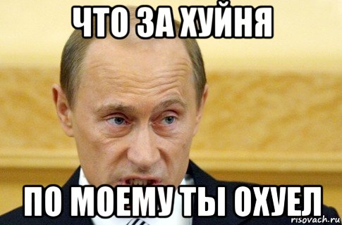 что за хуйня по моему ты охуел, Мем путин