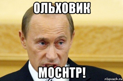 ольховик моснтр!, Мем путин