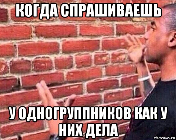 когда спрашиваешь у одногруппников как у них дела, Мем разговор со стеной