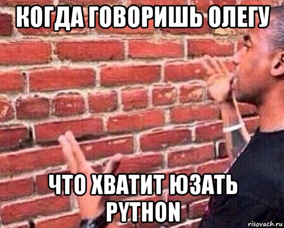 когда говоришь олегу что хватит юзать python, Мем разговор со стеной