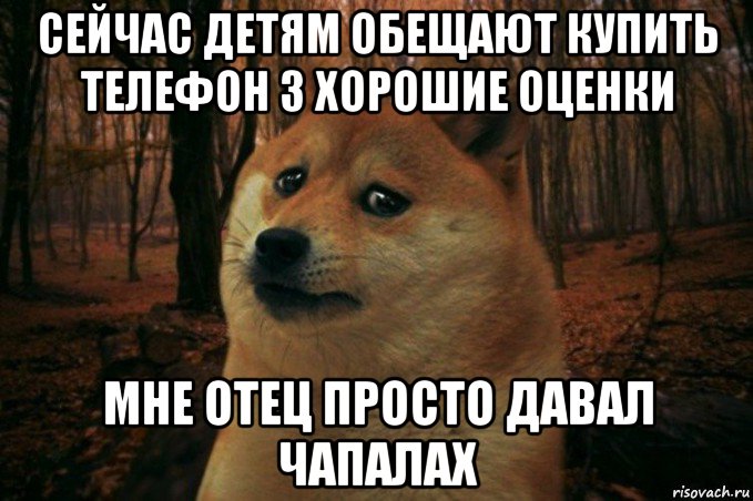 Чапалах что. Чапалах. Дать чапалах. Чапалах тебе. Чапалах картинки.