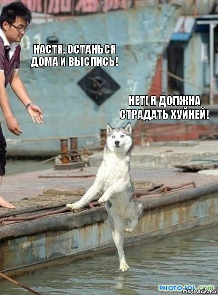 Настя, останься дома и выспись! Нет! Я должна страдать хуйней!, Комикс   собака я должен танцевать