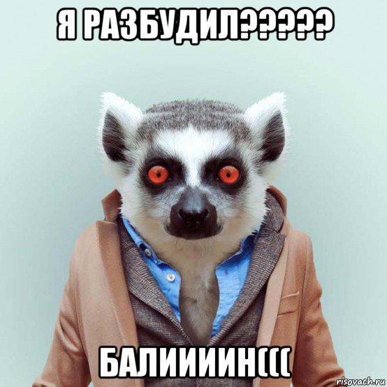 я разбудил????? балиииин(((, Мем укуренный лемур