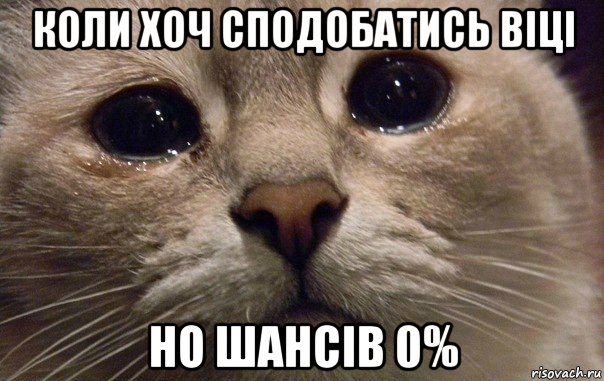 коли хоч сподобатись віці но шансів 0%, Мем   В мире грустит один котик